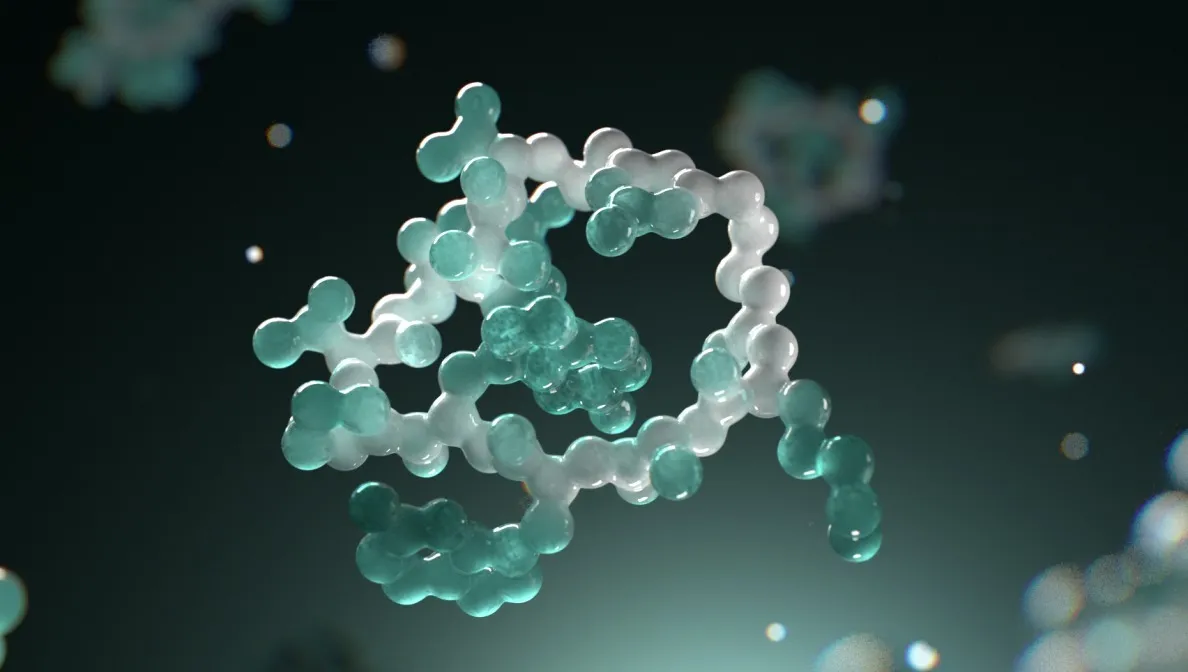 macrocyclic peptides e1742932241